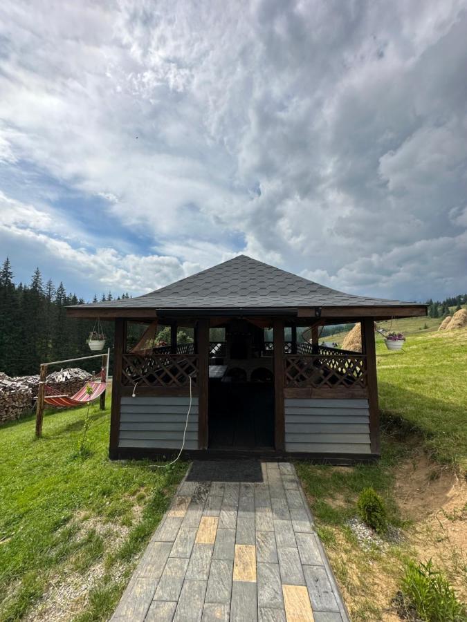 Приватна Садиба Shafran Iablunîțea Exterior foto