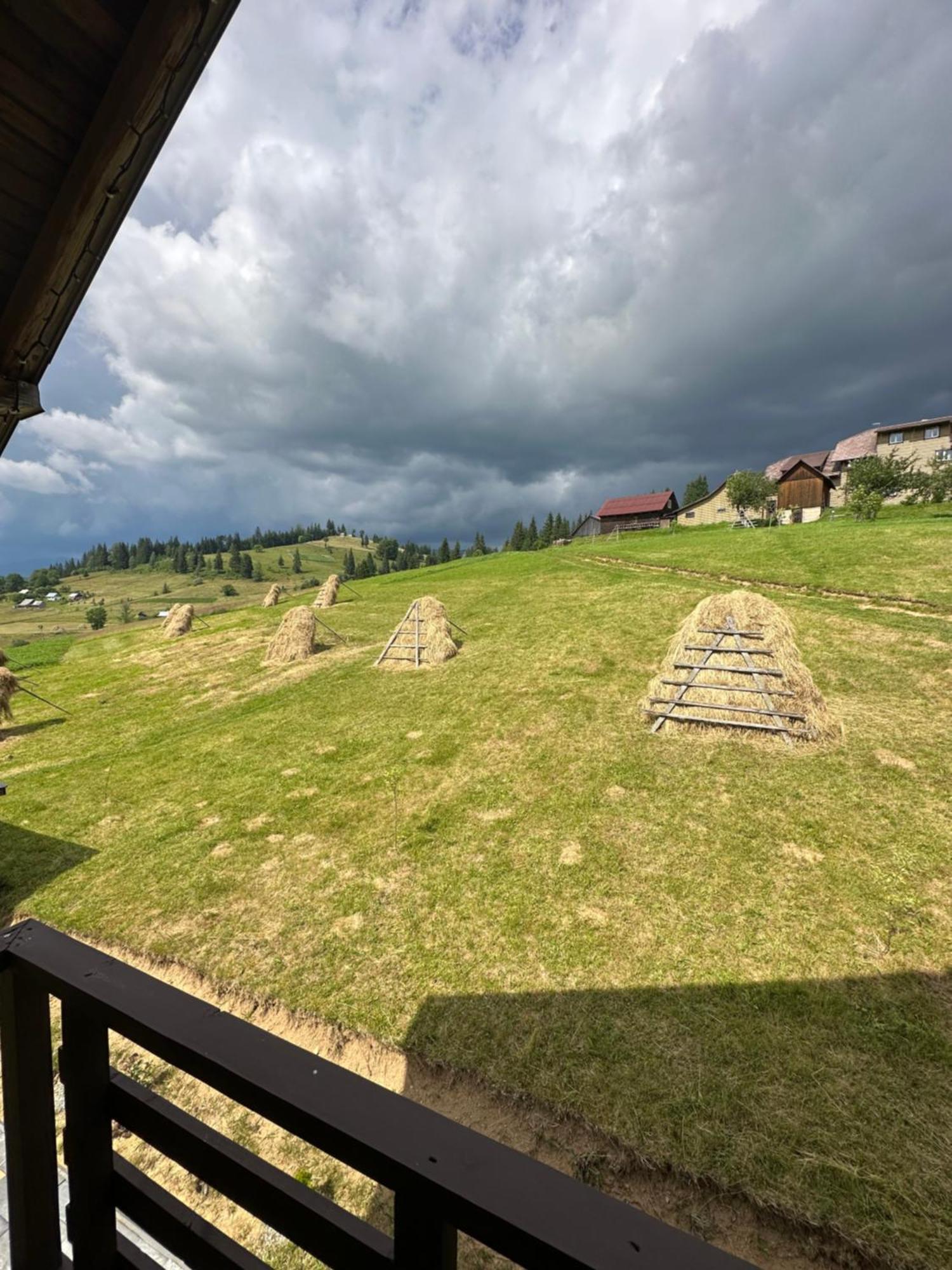 Приватна Садиба Shafran Iablunîțea Exterior foto